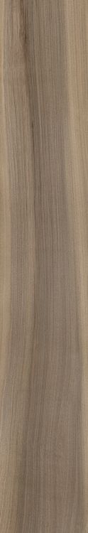 Harper Taupe 8 x 48